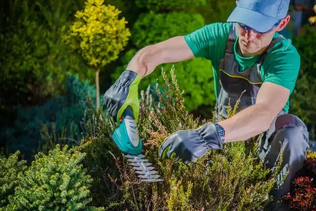 landscaping services South Hill